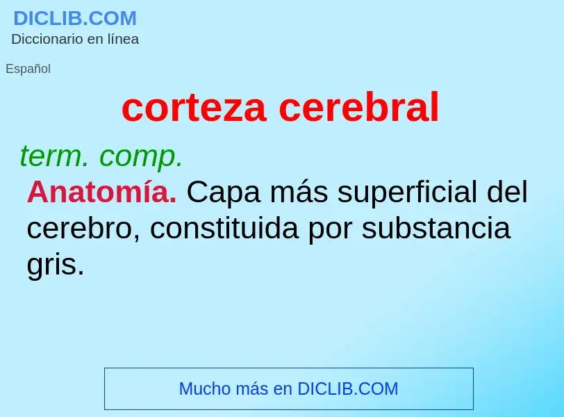 ¿Qué es corteza cerebral? - significado y definición