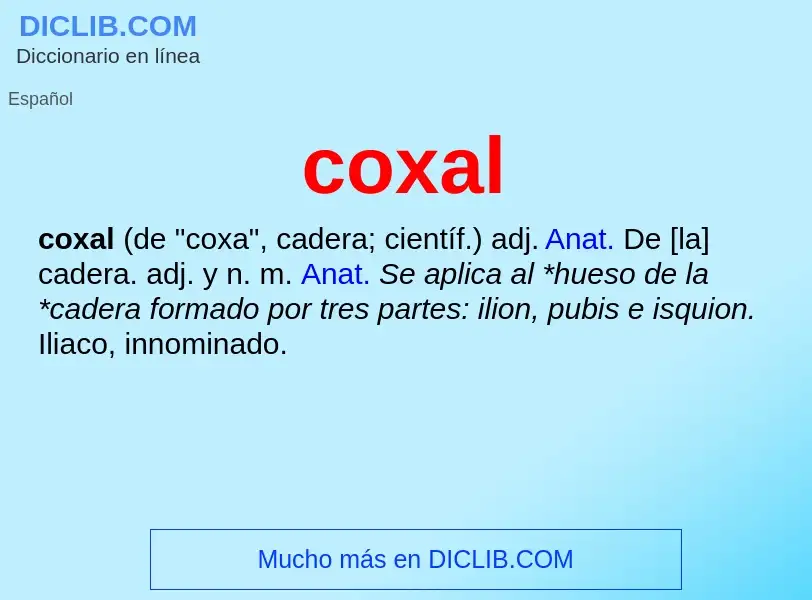 Wat is coxal - definition