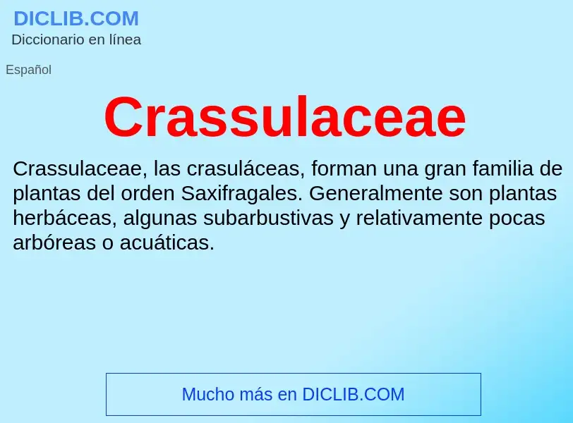 What is Crassulaceae - meaning and definition