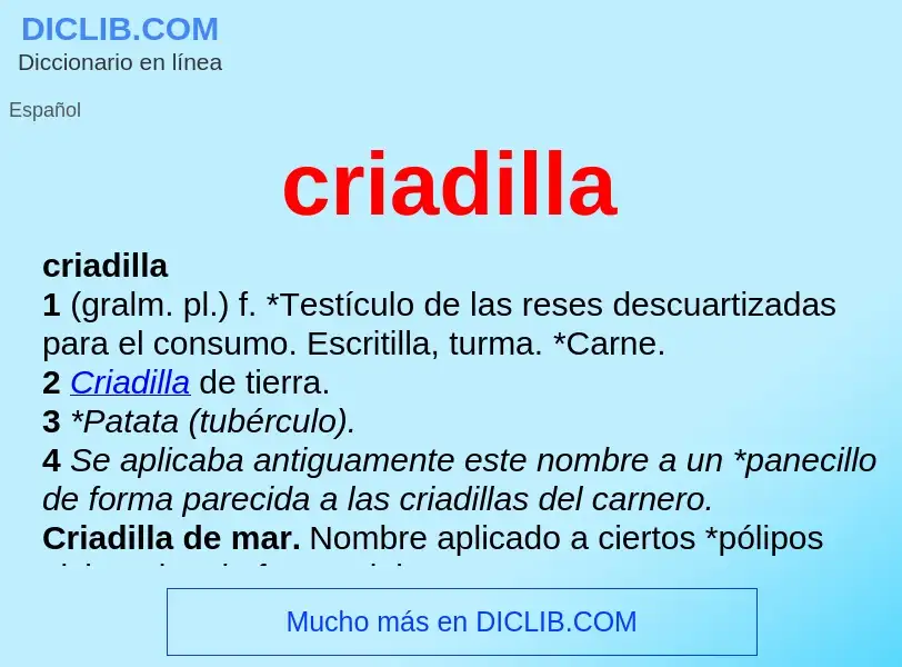 What is criadilla - meaning and definition