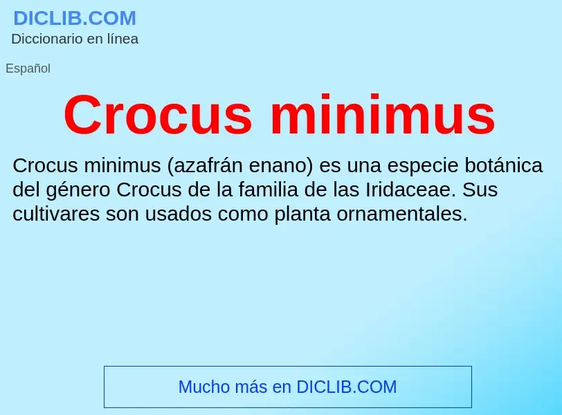 Was ist Crocus minimus - Definition