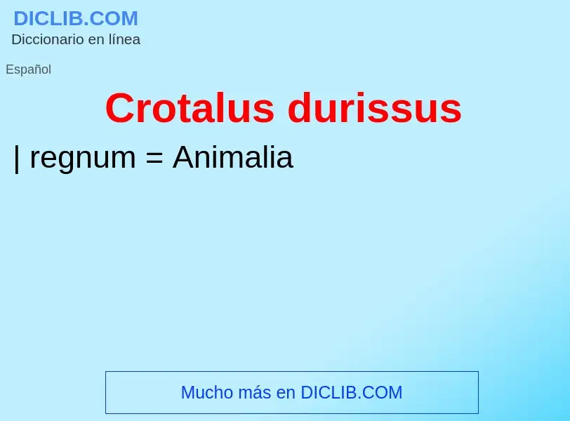 Wat is Crotalus durissus - definition