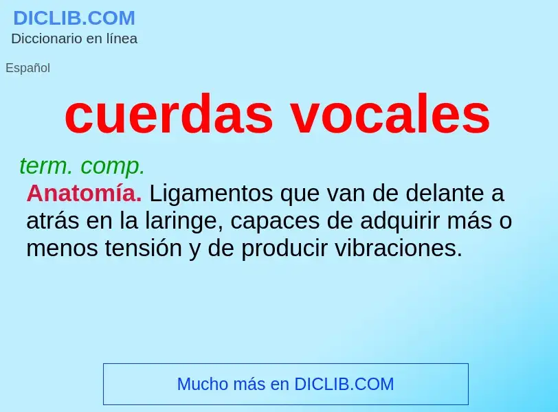 What is cuerdas vocales - definition