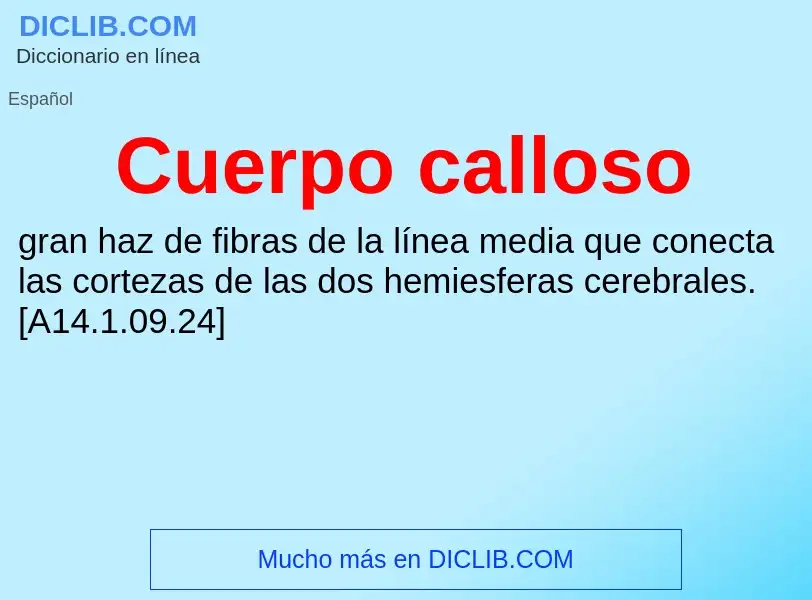 What is Cuerpo calloso - meaning and definition