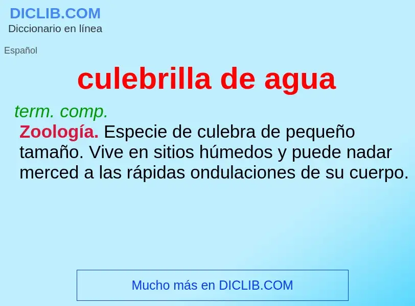 Wat is culebrilla de agua - definition