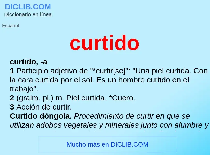 What is curtido - definition