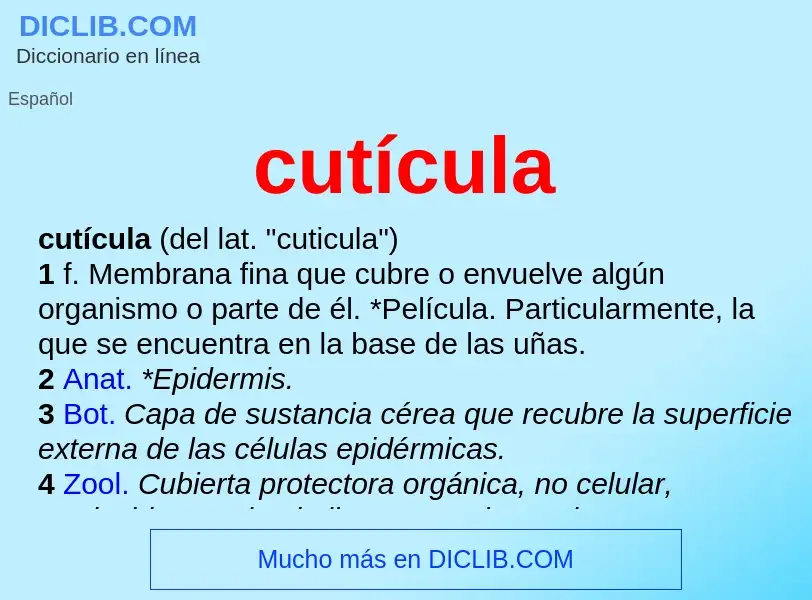 What is cutícula - definition