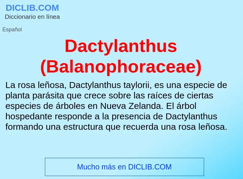 Что такое Dactylanthus (Balanophoraceae) - определение