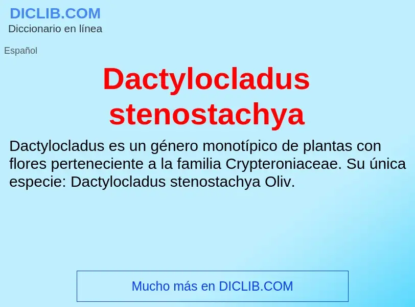 Что такое Dactylocladus stenostachya - определение