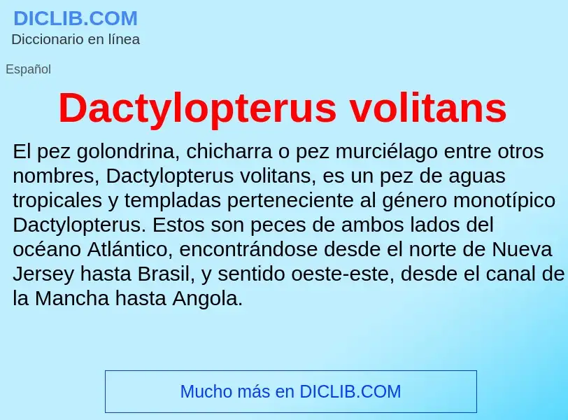 Что такое Dactylopterus volitans - определение