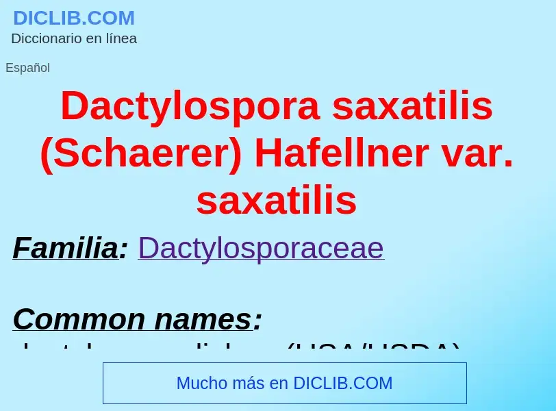 Что такое Dactylospora saxatilis (Schaerer) Hafellner var. saxatilis - определение