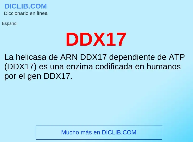 ¿Qué es DDX17? - significado y definición