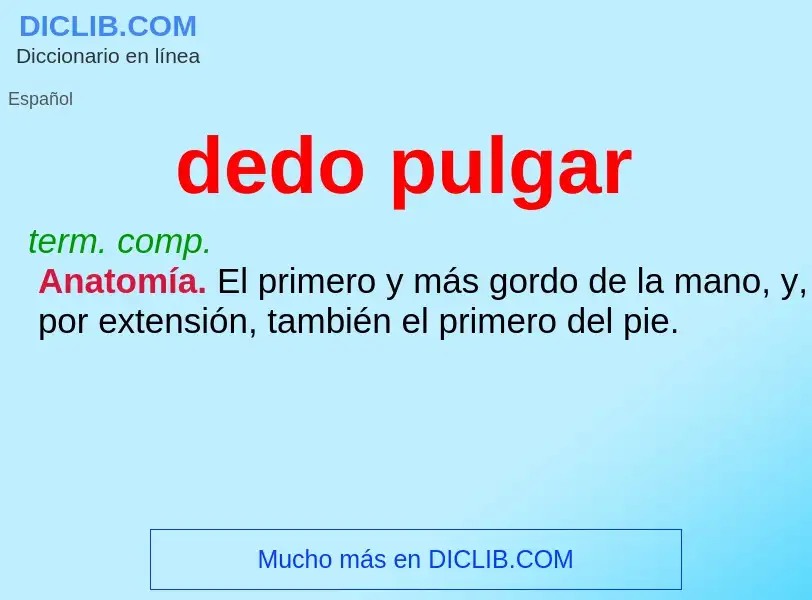 Wat is dedo pulgar - definition