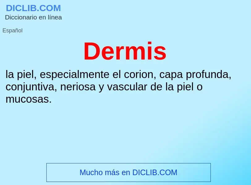 Wat is Dermis - definition