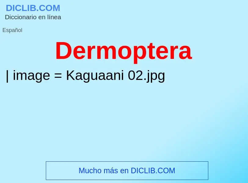 Wat is Dermoptera - definition