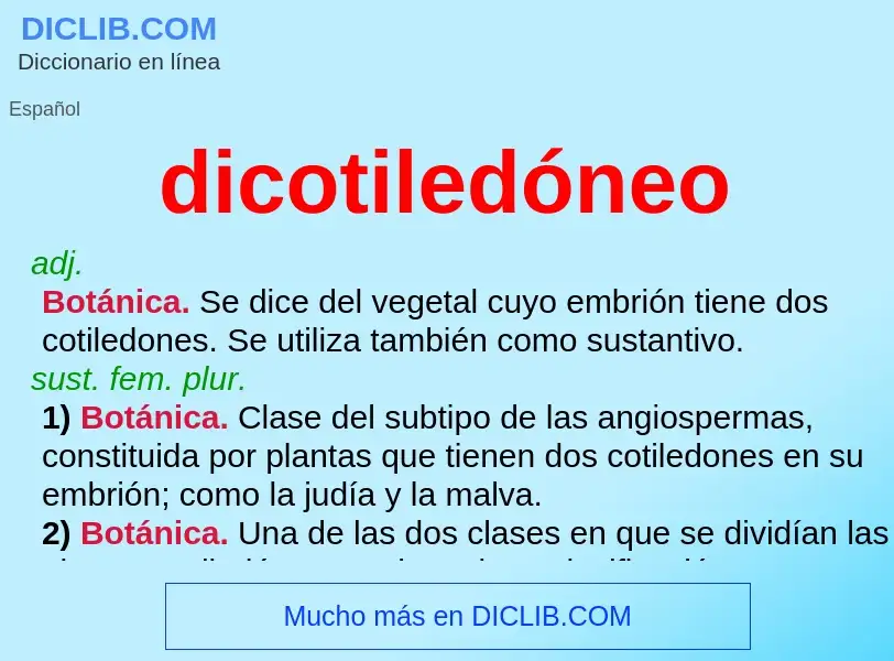 ¿Qué es dicotiledóneo? - significado y definición