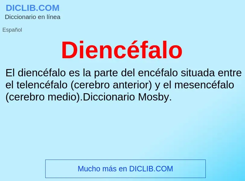 ¿Qué es Diencéfalo? - significado y definición