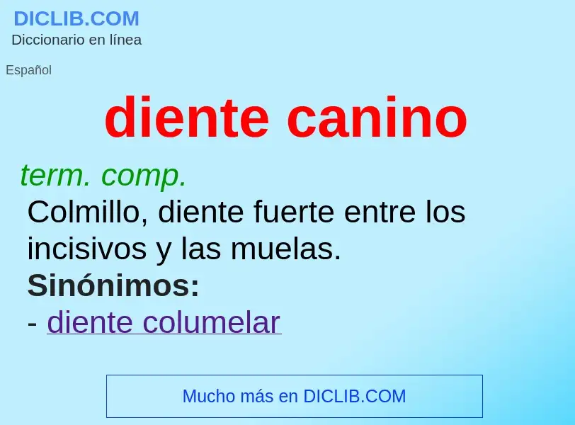 What is diente canino - meaning and definition