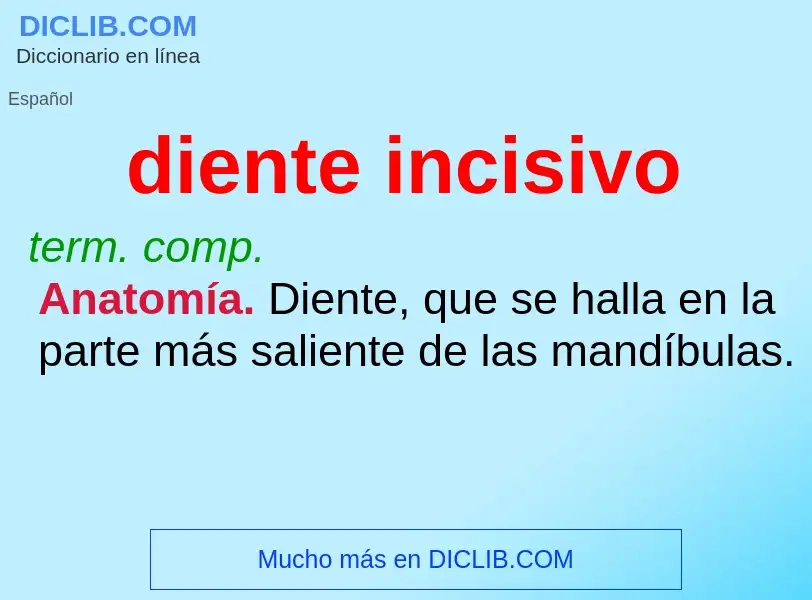 What is diente incisivo - definition