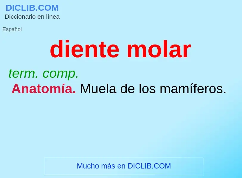 What is diente molar - meaning and definition