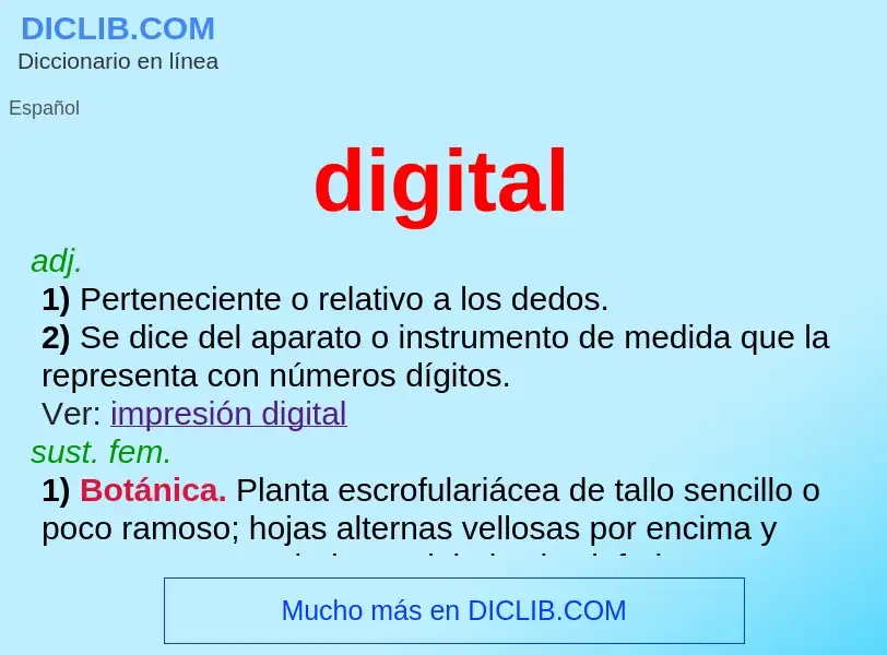 Wat is digital - definition