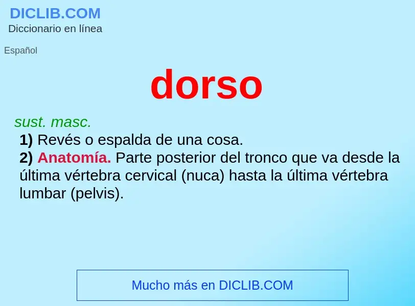 What is dorso - meaning and definition