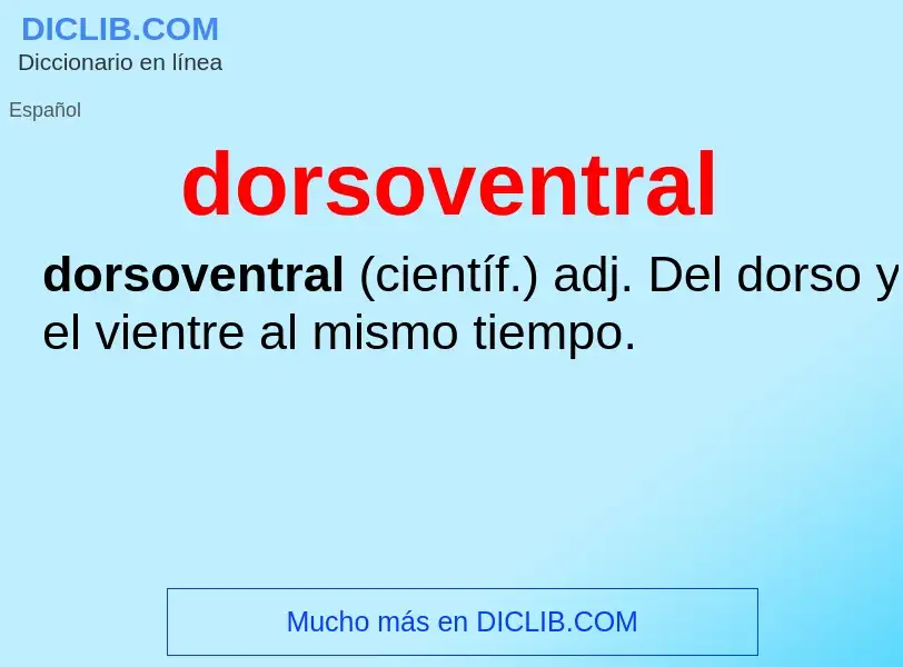 ¿Qué es dorsoventral? - significado y definición