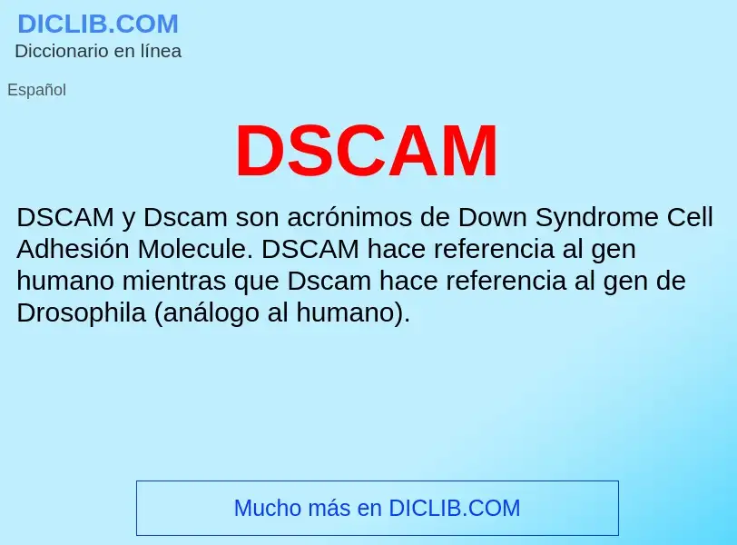 ¿Qué es DSCAM? - significado y definición