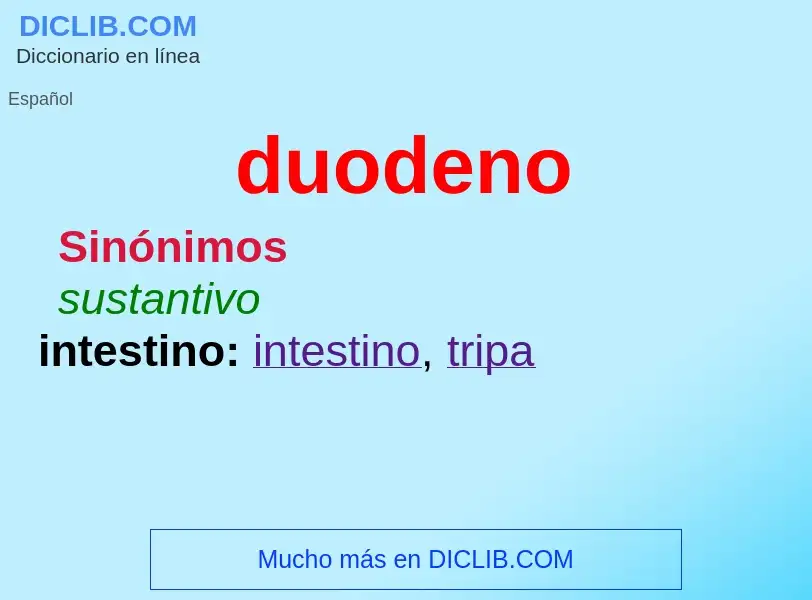 ¿Qué es duodeno? - significado y definición