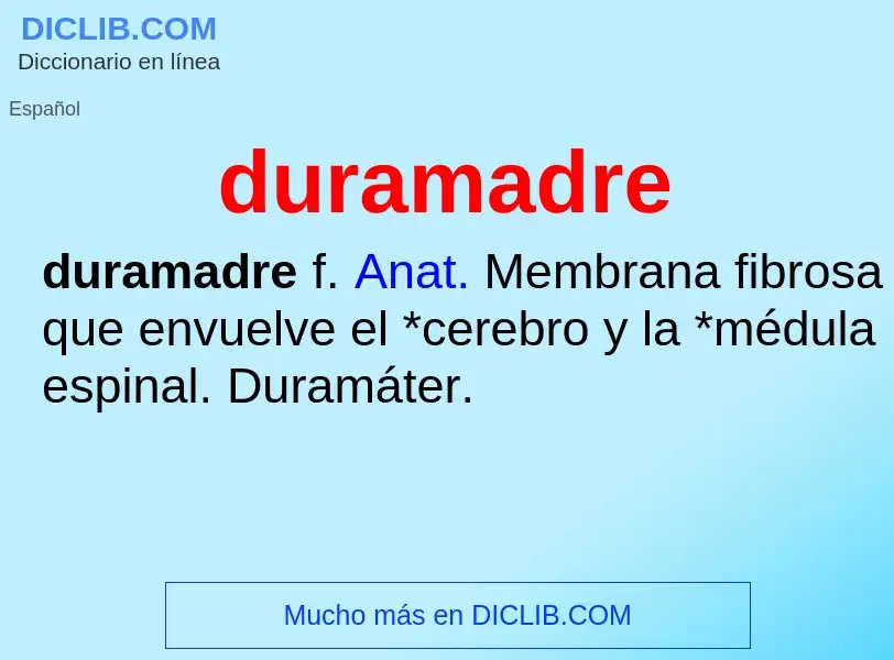 ¿Qué es duramadre? - significado y definición