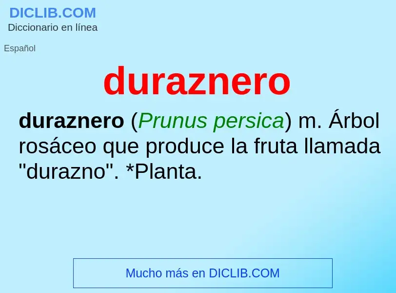 ¿Qué es duraznero? - significado y definición