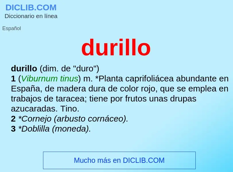 ¿Qué es durillo? - significado y definición