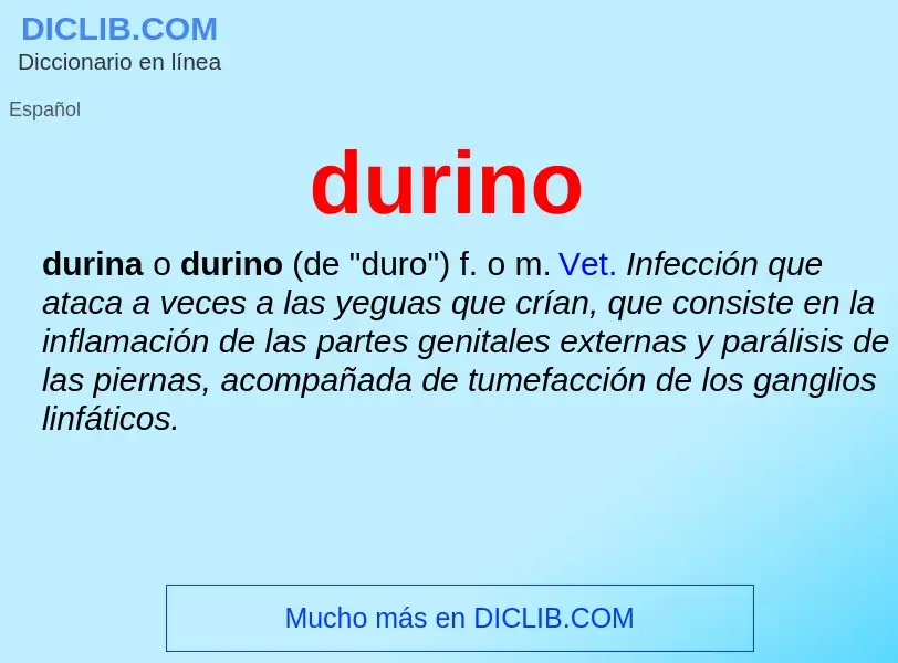 ¿Qué es durino? - significado y definición