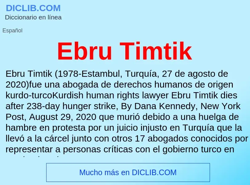 What is Ebru Timtik - meaning and definition