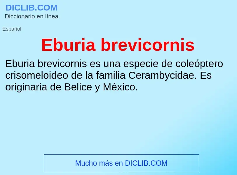 What is Eburia brevicornis - meaning and definition