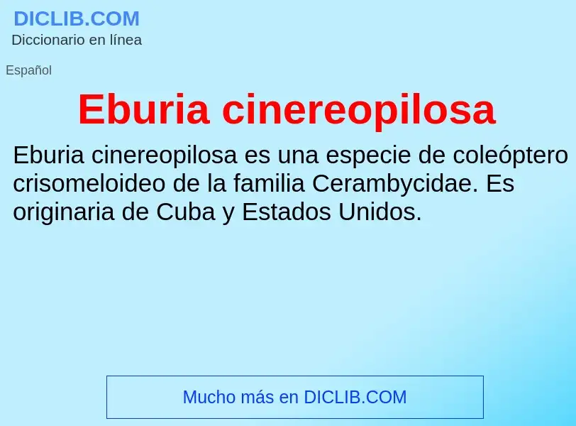 What is Eburia cinereopilosa - meaning and definition