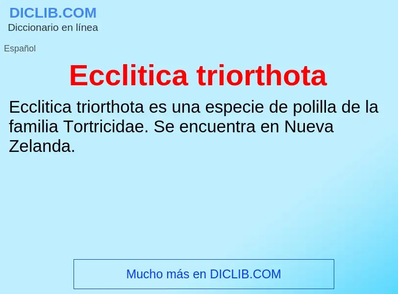 What is Ecclitica triorthota - meaning and definition