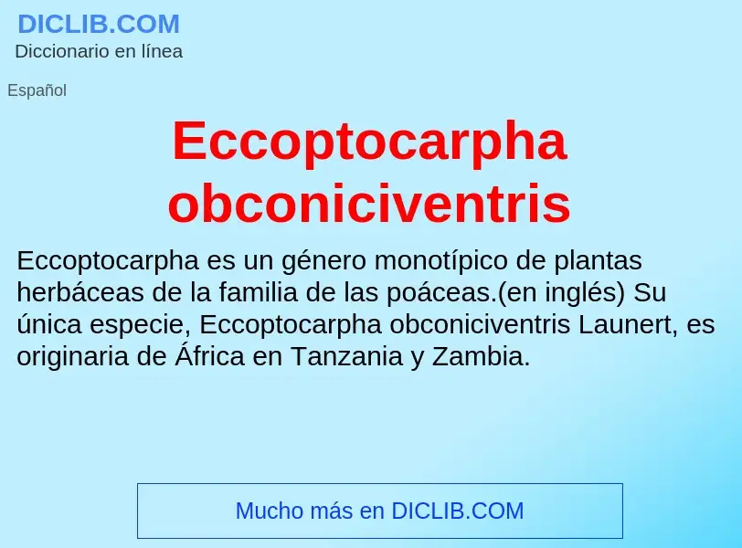 What is Eccoptocarpha obconiciventris - meaning and definition