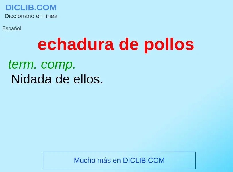 What is echadura de pollos - meaning and definition