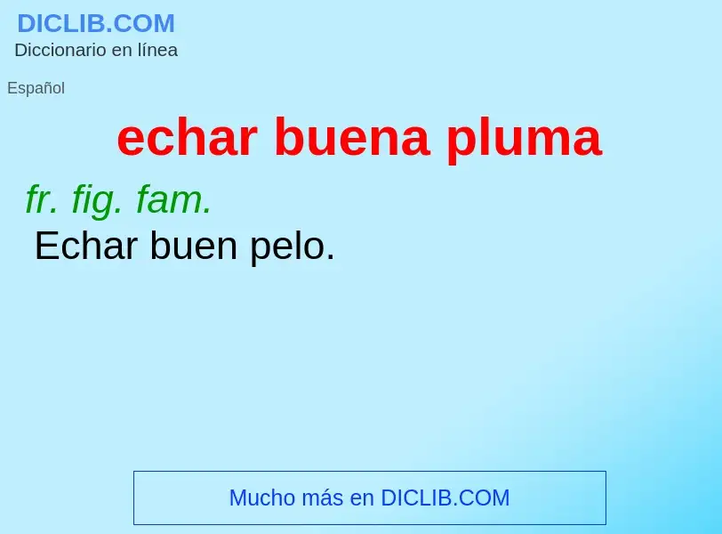 What is echar buena pluma - meaning and definition