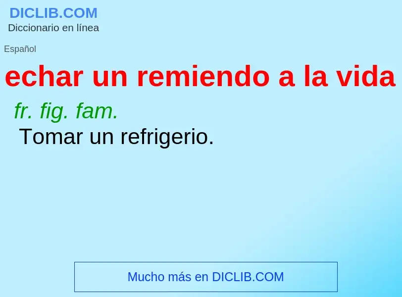 Wat is echar un remiendo a la vida - definition