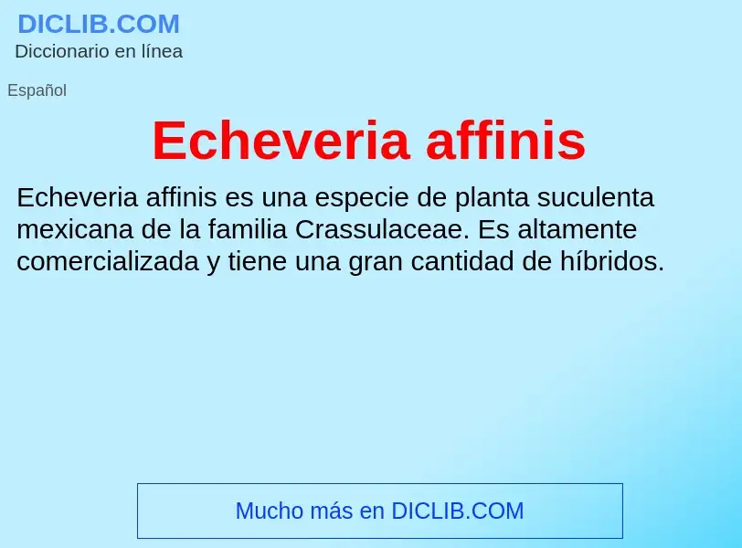 What is Echeveria affinis - meaning and definition