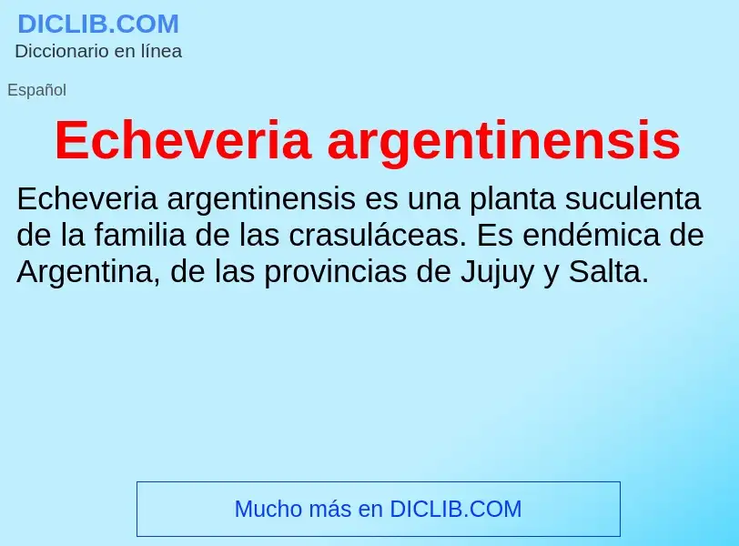 What is Echeveria argentinensis - meaning and definition