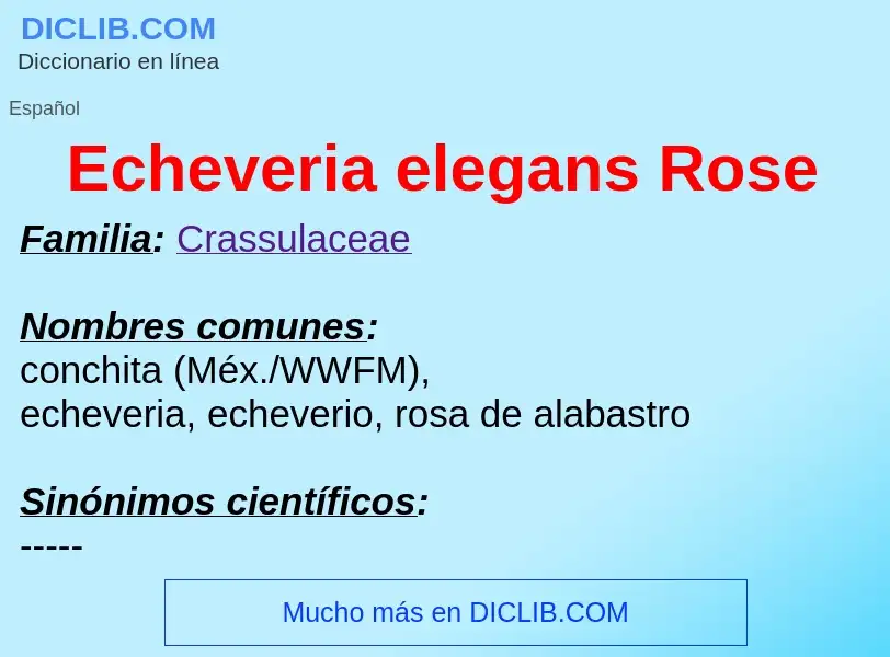 What is Echeveria elegans Rose - meaning and definition