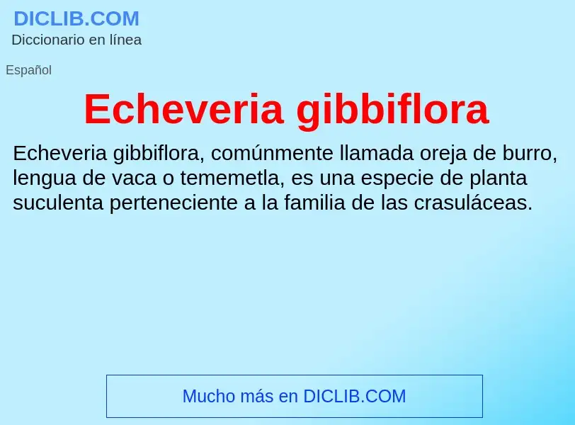 What is Echeveria gibbiflora - meaning and definition