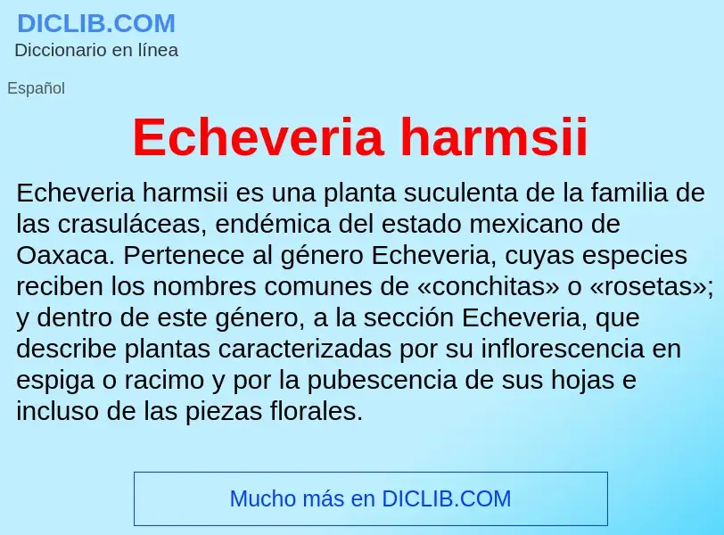 What is Echeveria harmsii - meaning and definition