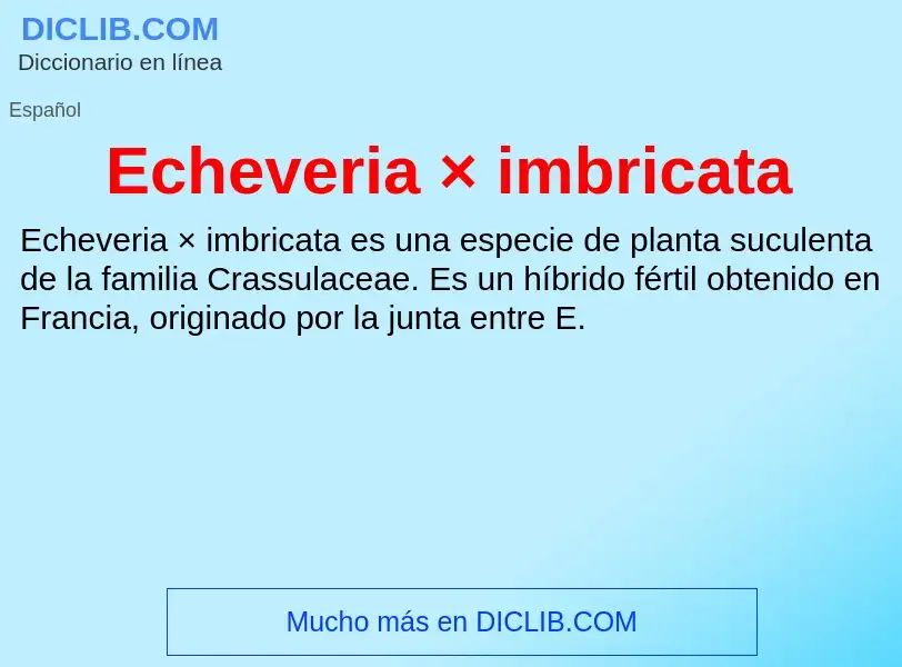 What is Echeveria × imbricata - meaning and definition