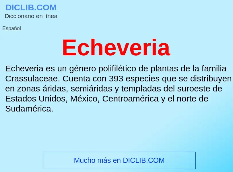 What is Echeveria - meaning and definition