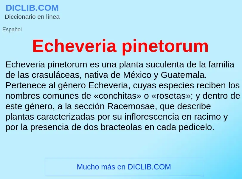 What is Echeveria pinetorum - meaning and definition