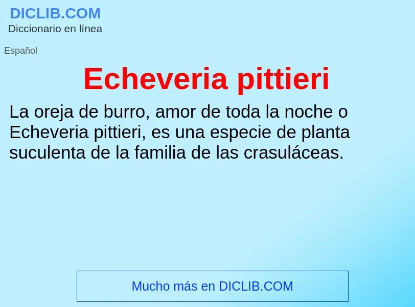 What is Echeveria pittieri - meaning and definition